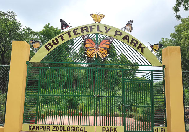 Chandigarh Taxi Service